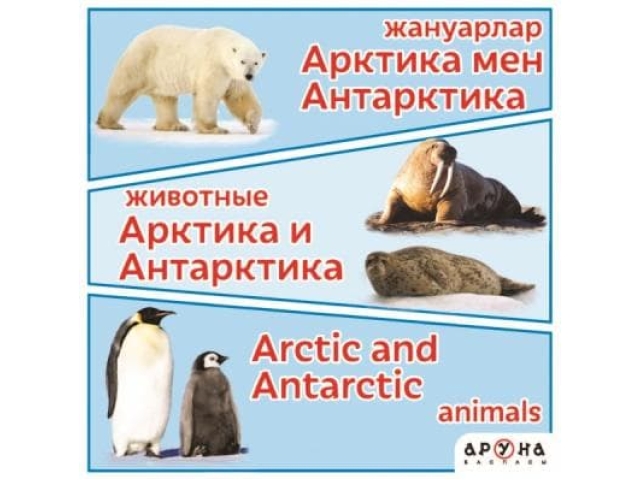 Жануарлар/Животные. Арктика мен Антарктика